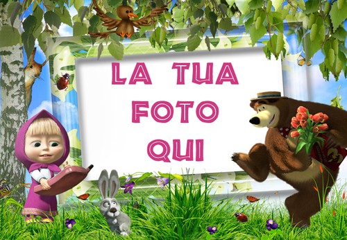 Cialda masha orso - cialda, e