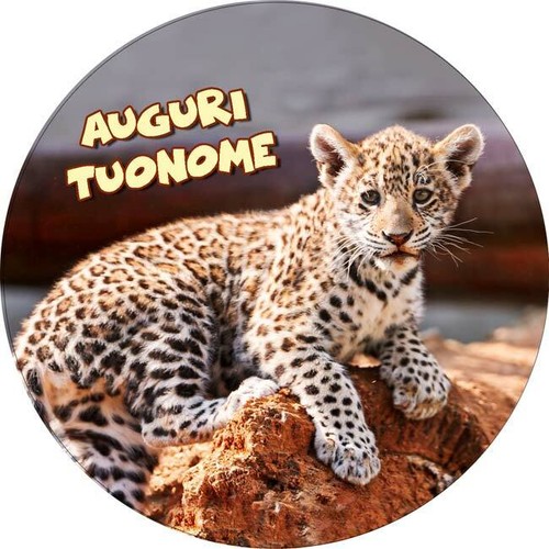 Cialda leopardo cucciolo - cialda,