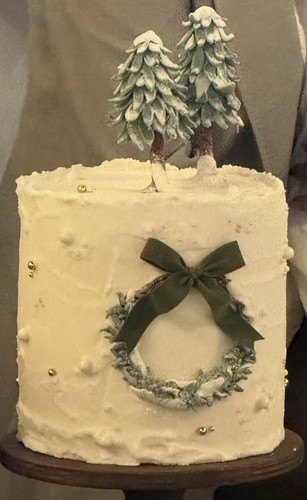 Torta finta pasta - finta,